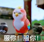 <strong>青年演员王彦霖对</strong>